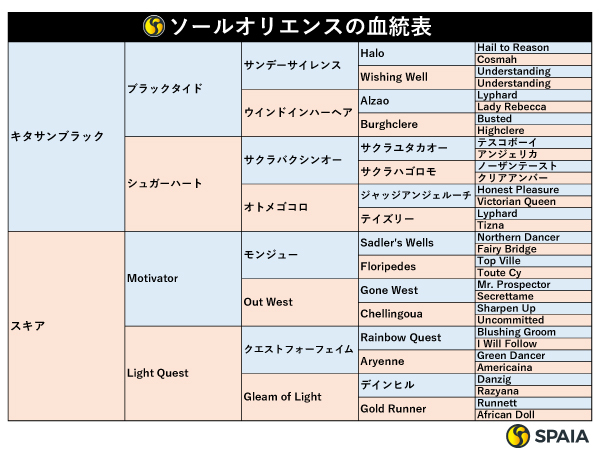 ソールオリエンスの血統表,ⒸSPAIA