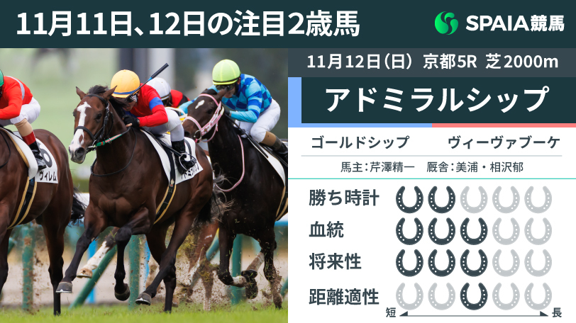 11月11日、12日の注目2歳馬アドミラルシップ,ⒸSPAIA（撮影：三木俊幸）