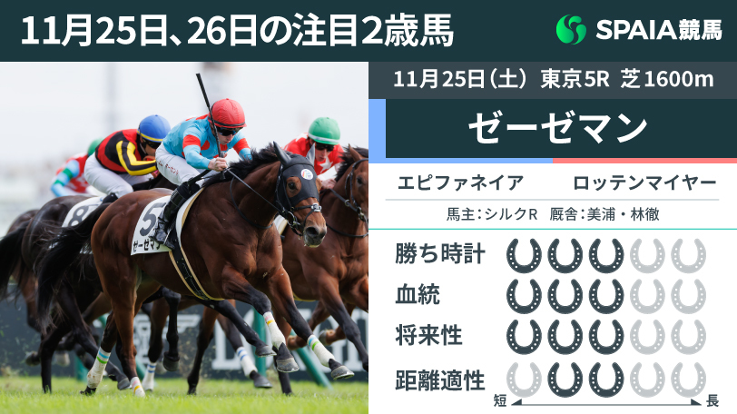 【注目2歳馬】11.3-11.2の加速ラップで差し切る瞬発力　エピファネイア産駒ゼーゼマン