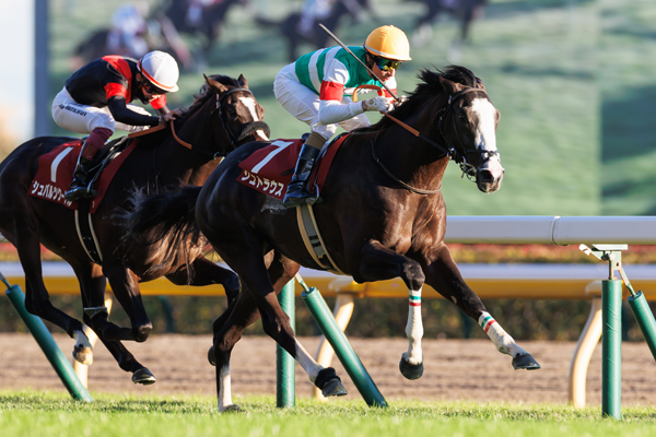 東京スポーツ杯2歳Sをシュトラウスで快勝したJ.モレイラ騎手,ⒸSPAIA（撮影：三木俊幸）