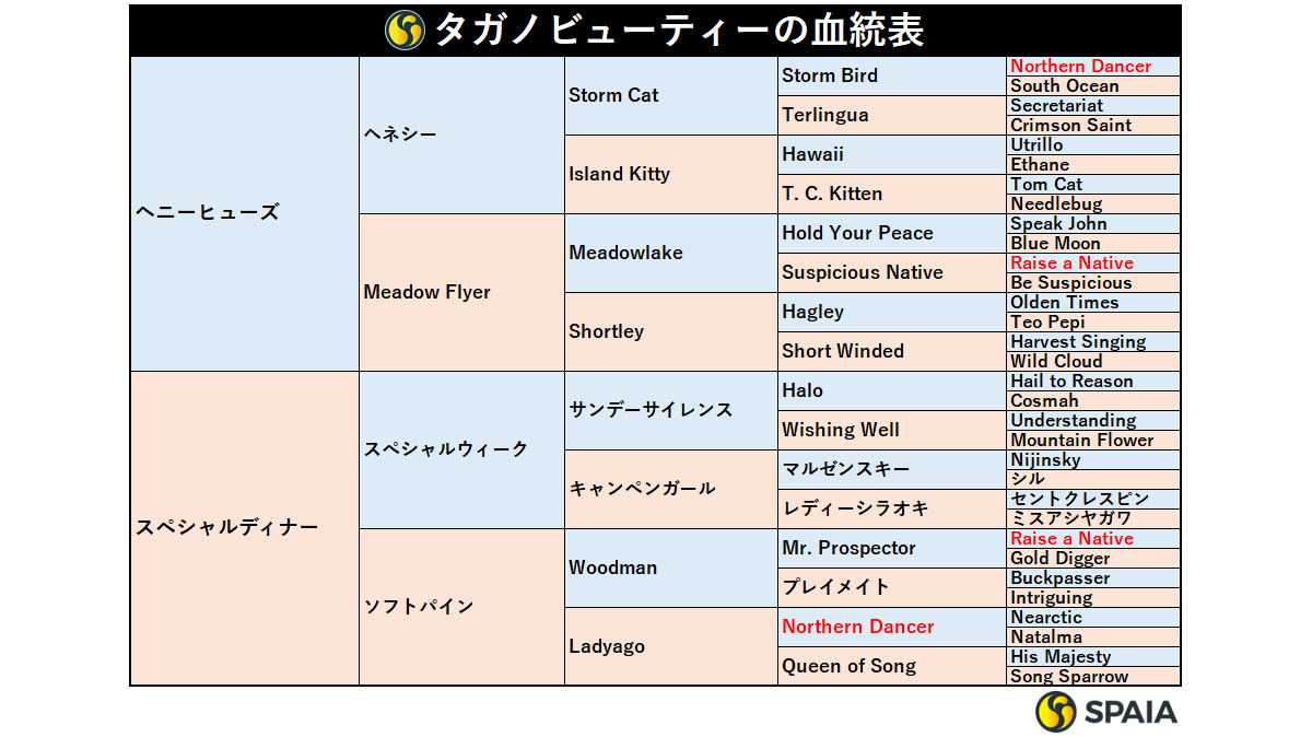 タガノビューティーの血統表,ⒸSPAIA