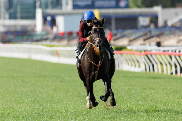 12月10日の香港カップに向けて調教を行うヒシイグアス