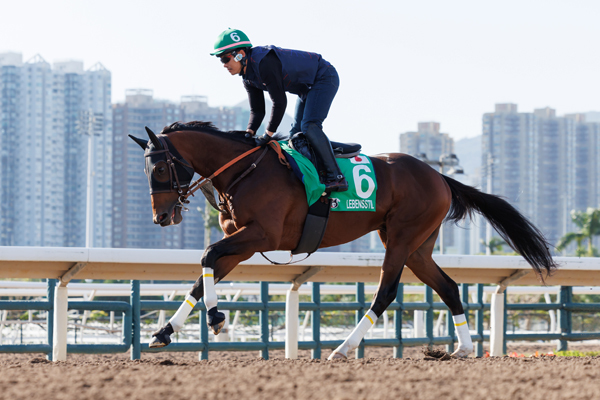 12月10日の香港ヴァーズに向けて調教を行うレーベンスティール