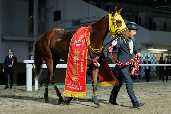 2023年神奈川記念勝ち馬ヴィブラフォン,ⒸSPAIA（撮影：三木俊幸）