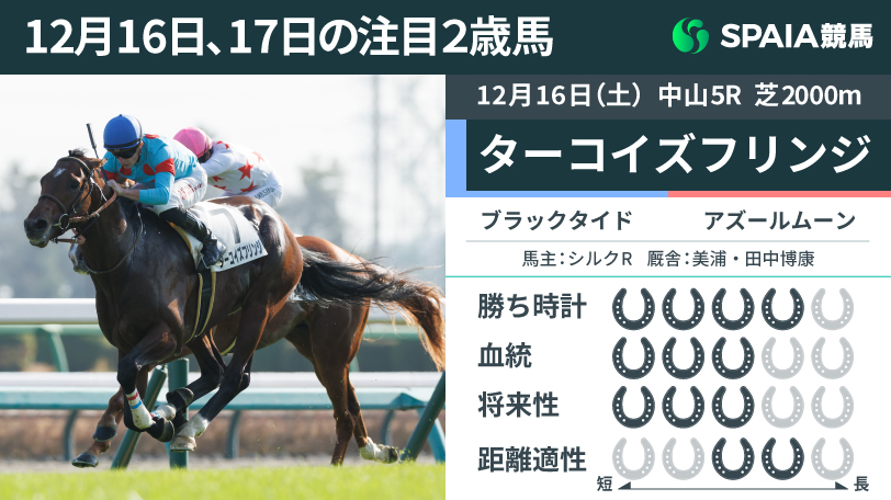 【注目2歳馬】持久力問われる展開で減速せず押し切り　ブラックタイド産駒ターコイズフリンジ