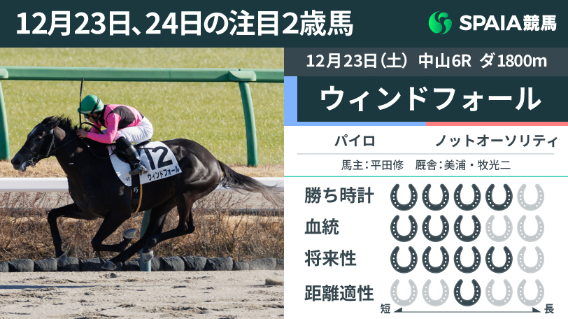 【注目2歳馬】ラスト12.8-12.6の加速ラップで快勝　パイロ産駒ウィンドフォール