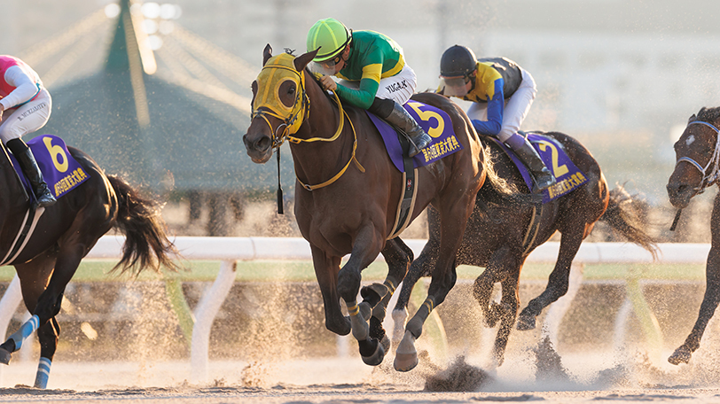 強く、荒々しい超良血馬が二冠達成 2015年日本ダービー馬・ドゥ