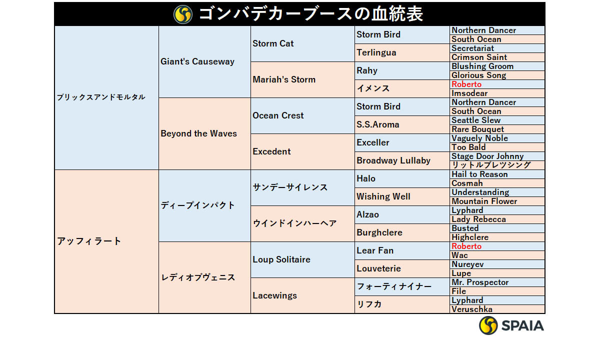 ゴンバデカーブースの血統表,ⒸSPAIA