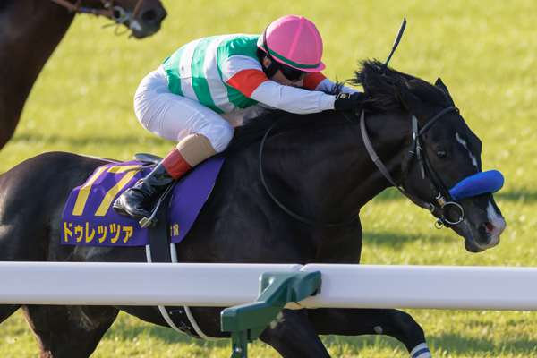 参考レース・2023年菊花賞勝ち馬のドゥレッツァ,ⒸSPAIA（撮影：三木俊幸）