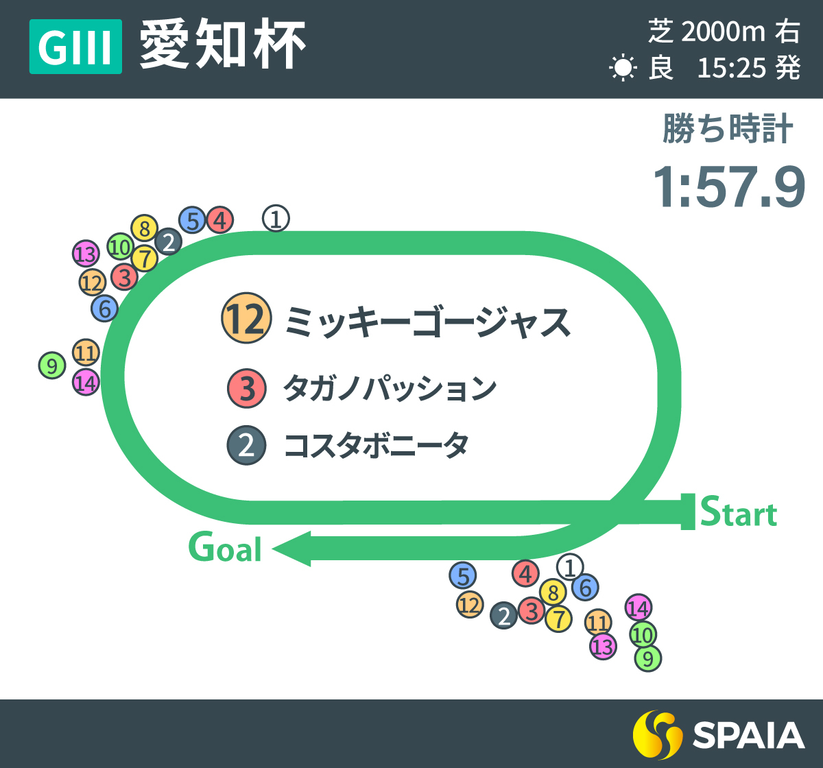 2024年愛知杯レース回顧,ⒸSPAIA