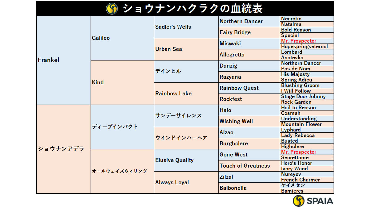 ショウナンハクラクの血統表,ⒸSPAIA