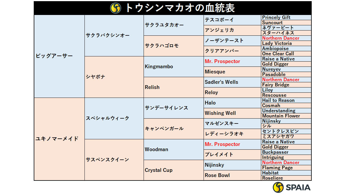 トウシンマカオの血統表,ⒸSPAIA