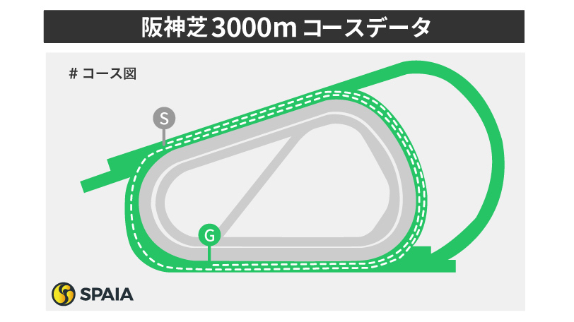 阪神芝3000mのコースレイアウト,ⒸSPAIA