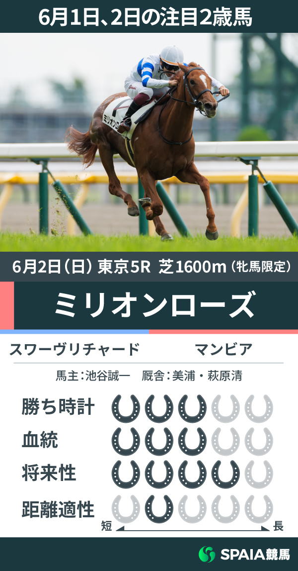 6月2日の注目2歳馬ミリオンローズ,ⒸSPAIA（撮影：三木俊幸）