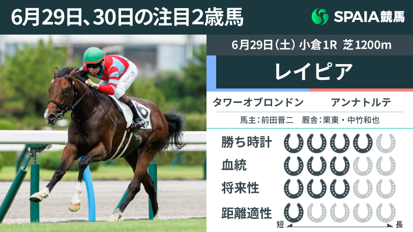 6月29日の注目2歳馬レイピア,ⒸSPAIA（撮影：三木俊幸）