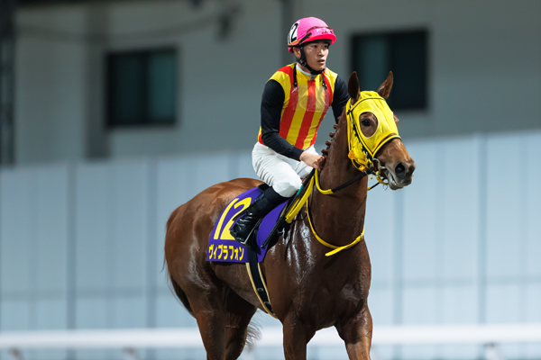 スパーキングレディーカップ3着のヴィブラフォン,ⒸSPAIA（撮影：三木俊幸）