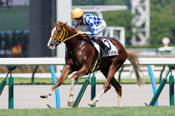 小倉2歳未勝利戦を勝ち上がったワンモアスマイル,ⒸSPAIA（撮影：三木俊幸）