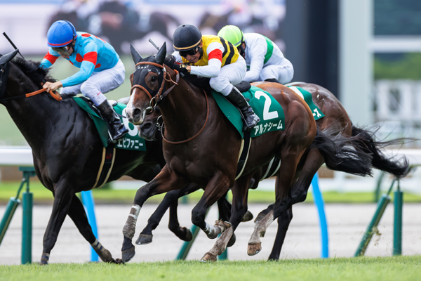 中京記念を制した、アルナシーム&横山典弘騎手,ⒸSPAIA（撮影：三木俊幸）