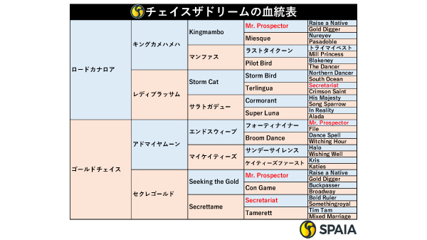 チェイスザドリームの血統表,ⒸSPAIA