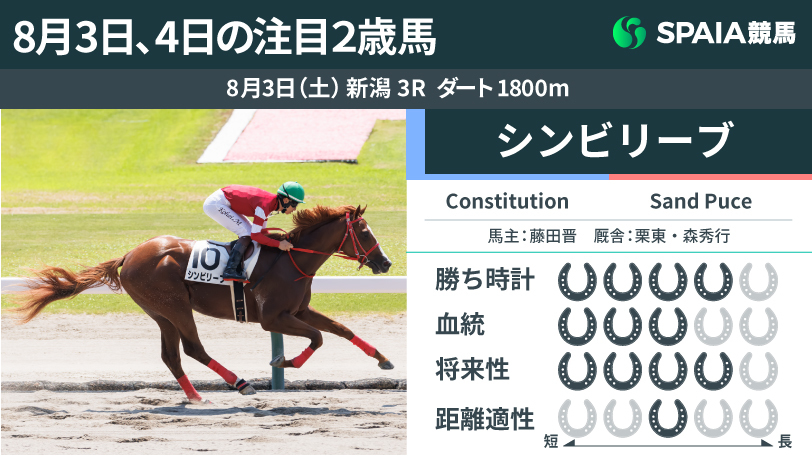 8月3日の新潟3R・新馬戦を勝利したシンビリーブ,ⒸSPAIA（撮影：三木俊幸）