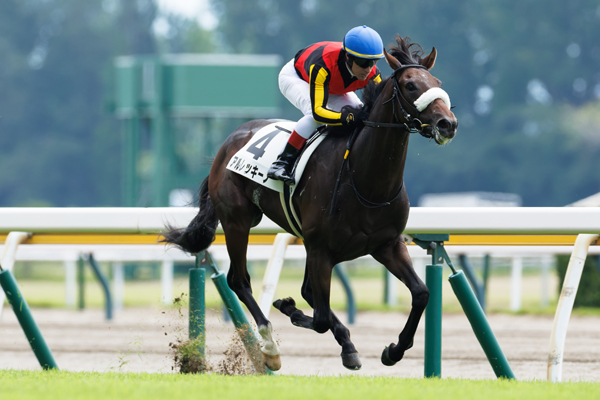 8月3日の新潟2R、芝1600mの2歳未勝利戦を勝利したアルレッキーノ,ⒸSPAIA（撮影：三木俊幸）