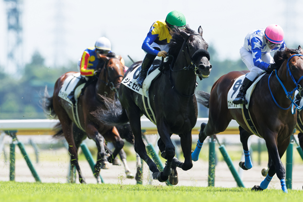 8月4日の新潟3R、芝1800mの新馬戦を勝利したジェゼロ,ⒸSPAIA（撮影：三木俊幸）