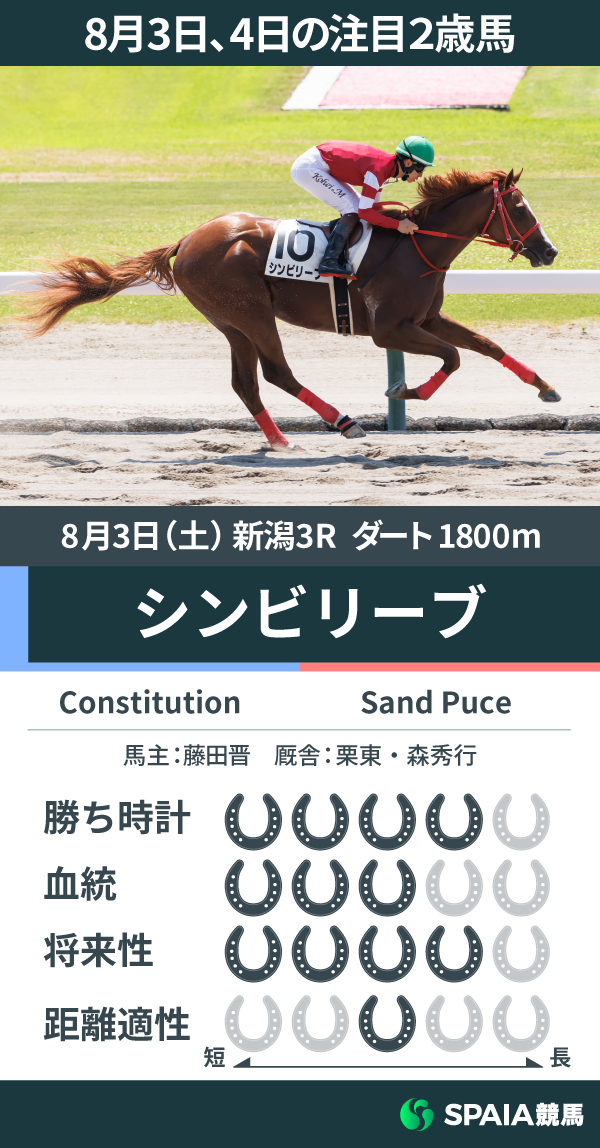 8月3日の新潟3R・新馬戦を勝利したシンビリーブのデータ,ⒸSPAIA（撮影：三木俊幸）