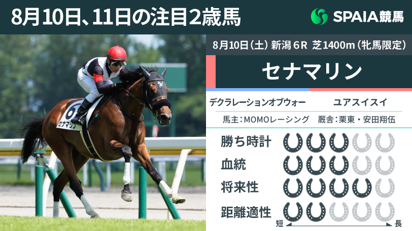 8月10日の新潟6R・新馬戦を勝利したセナマリン,ⒸSPAIA（撮影：三木俊幸）