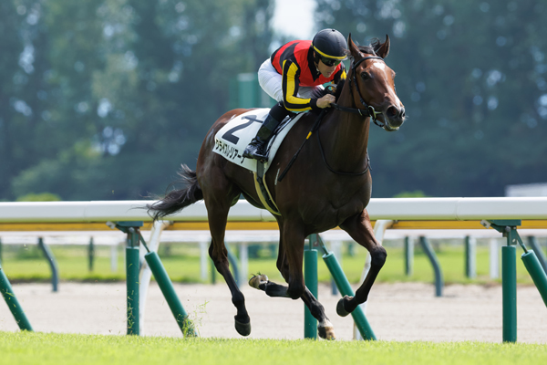 8月10日の新潟1R・未勝利戦を勝利したクライスレリアーナ,ⒸSPAIA（撮影：三木俊幸）