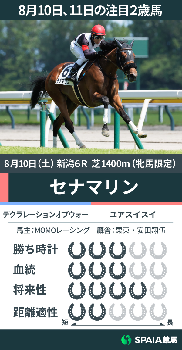 8月10日の新潟6R・新馬戦を勝利したセナマリン,ⒸSPAIA（撮影：三木俊幸）