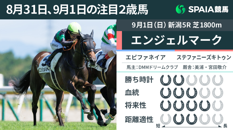 【注目2歳馬】今夏の新潟2歳戦で唯一の「上がり32秒台」　エピファネイア産駒エンジェルマークが瞬発力勝負を制す