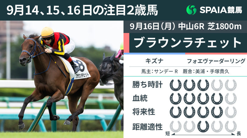 新馬戦を快勝したブラウンラチェット,ⒸSPAIA（撮影：三木俊幸）