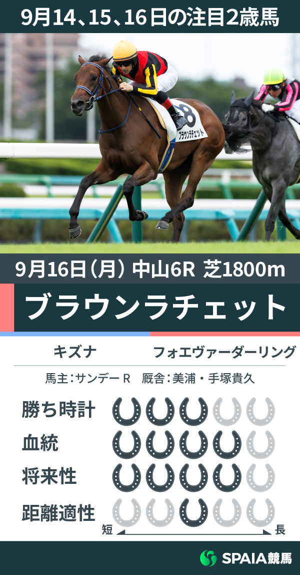 注目2歳馬ブラウンラチェット,ⒸSPAIA（撮影：三木俊幸）