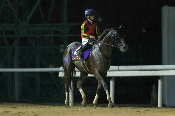 テレ玉杯オーバルスプリント2着馬スレイマン,ⒸSPAIA（撮影：三木俊幸）