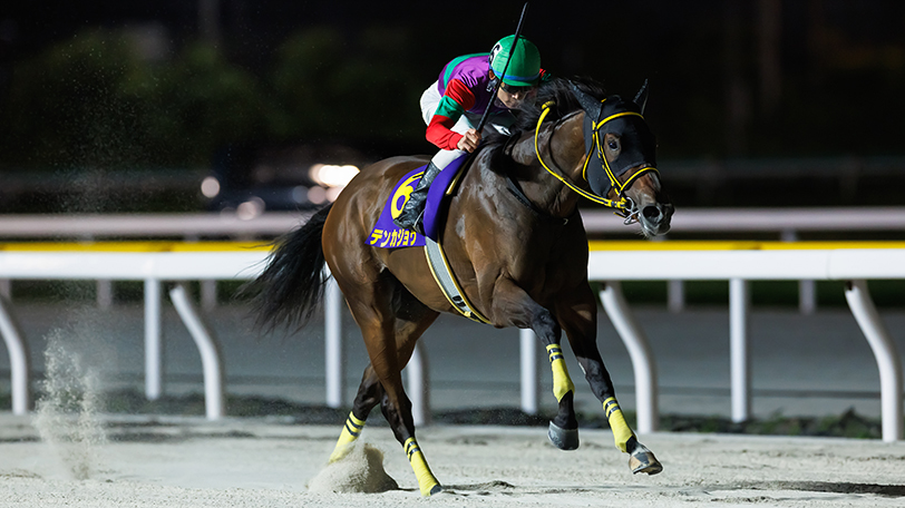 【マリーンC】テンカジョウがハイペースを味方に鮮やかに差し切り勝ち　5馬身差で重賞初制覇を飾る