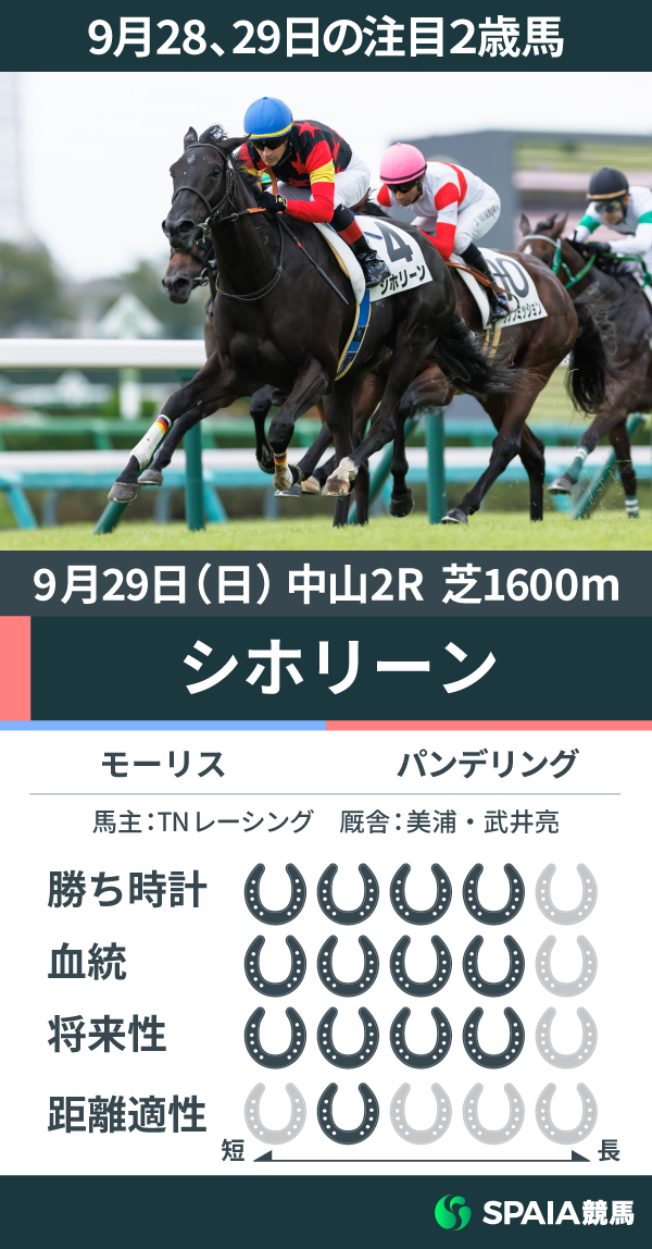 9月28、29日の注目2歳馬モーリス産駒シホリーン,ⒸSPAIA（撮影：三木俊幸）