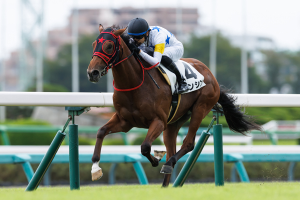 9月29日中山3R・新馬戦を勝利したカンシン,ⒸSPAIA（撮影：三木俊幸）