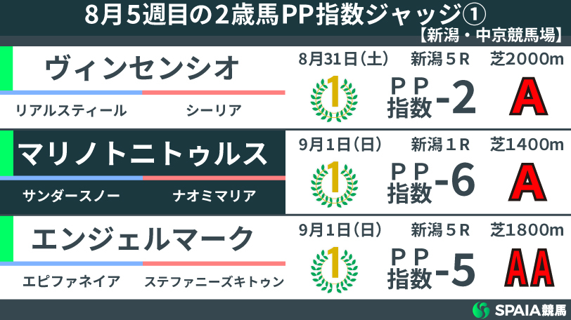 【2歳馬ジャッジ】ヒシアマンが6馬身の圧勝で高指数を記録　今後の重賞戦線での活躍に期待