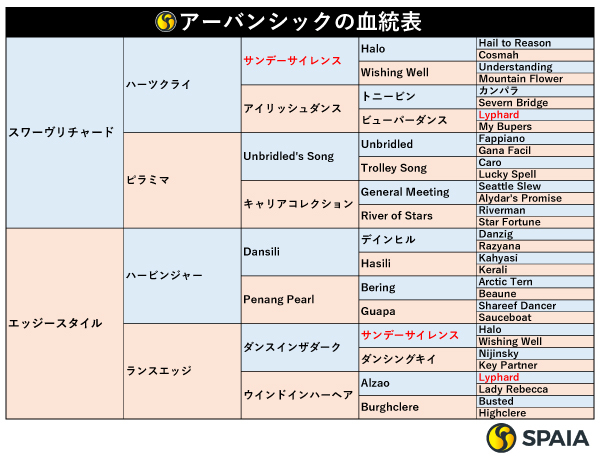 アーバンシックの血統表,ⒸSPAIA