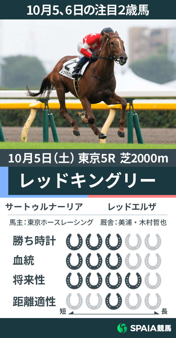 10月5日、6日の注目2歳馬レッドキングリー,ⒸSPAIA（撮影：三木俊幸）