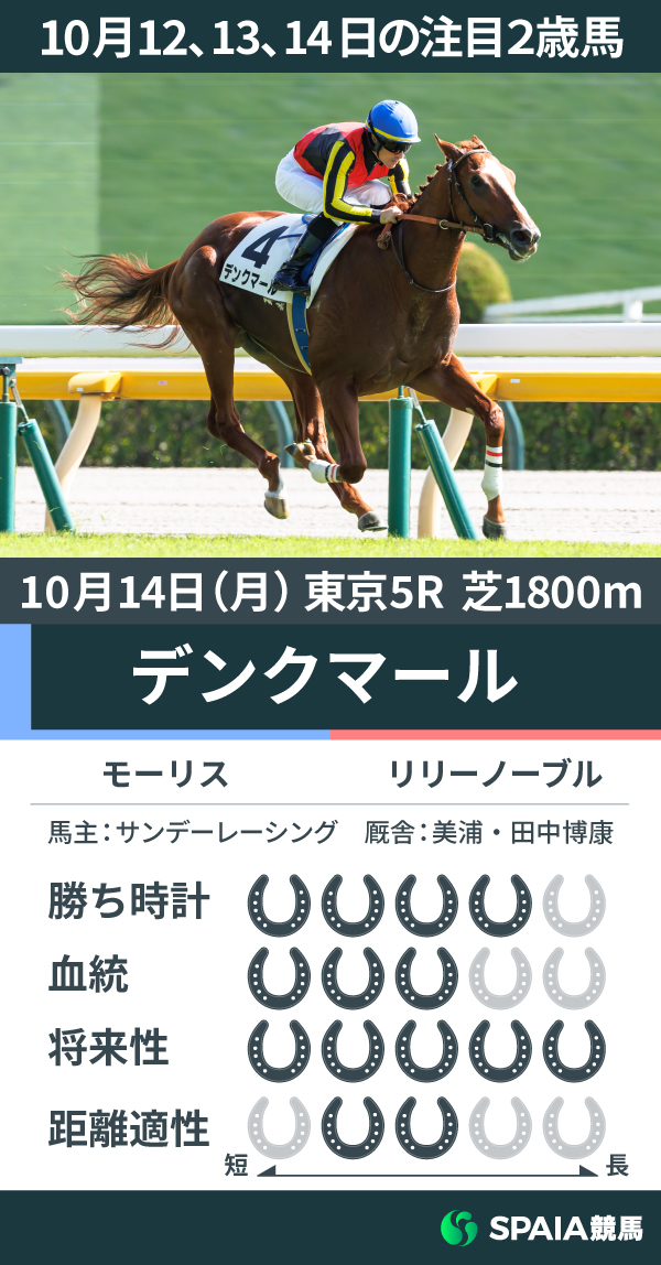 10月12、13、14日の注目2歳馬デンクマール,ⒸSPAIA（撮影：三木俊幸）