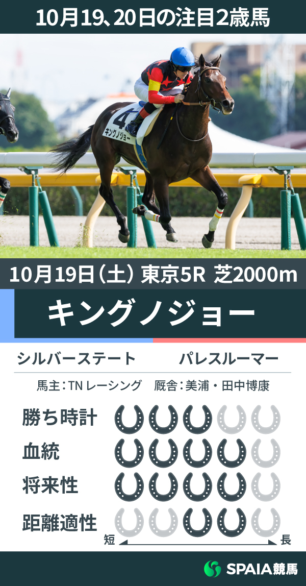 10月19、20日の注目2歳馬キングノジョー,ⒸSPAIA（撮影：三木俊幸）