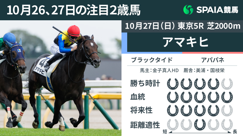 【注目2歳馬】母アパパネの超良血アマキヒが新馬戦V　ラスト2Fは11.3-11.1、馬体を併せた追い比べで勝負根性を発揮