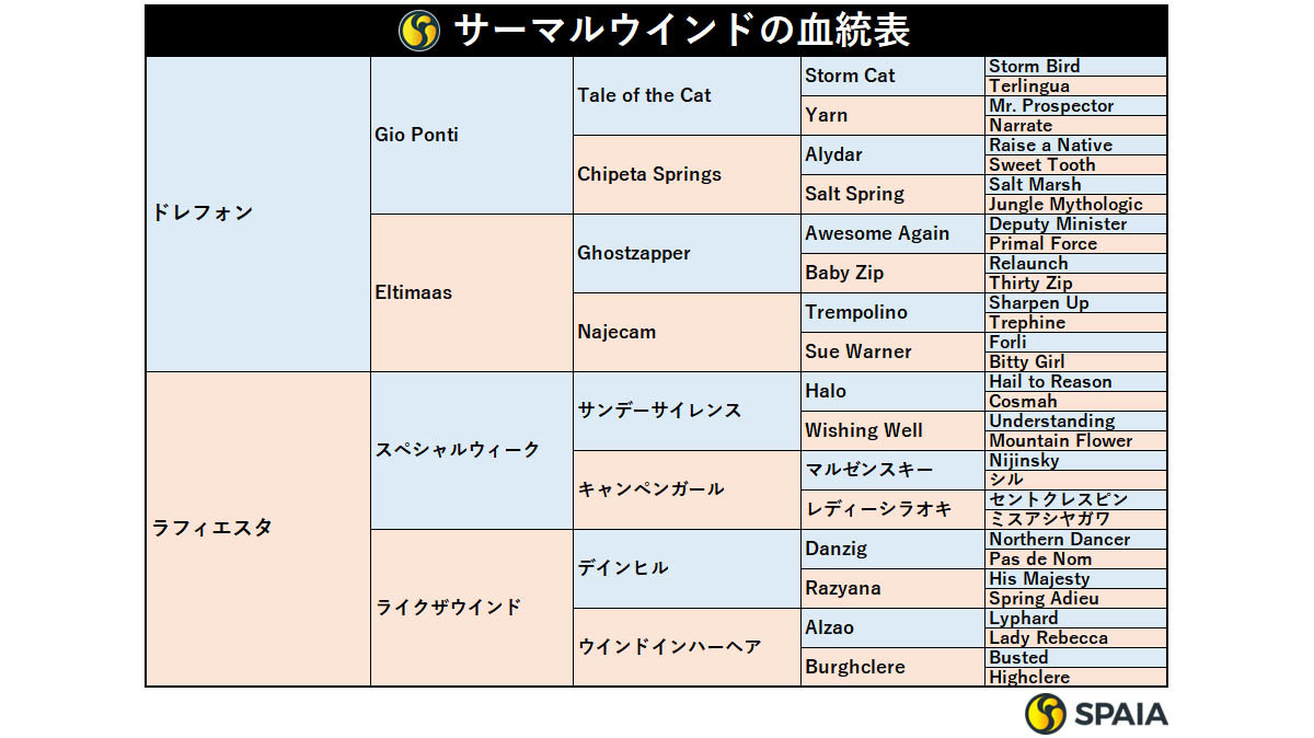 サーマルウインドの血統表,ⒸSPAIA