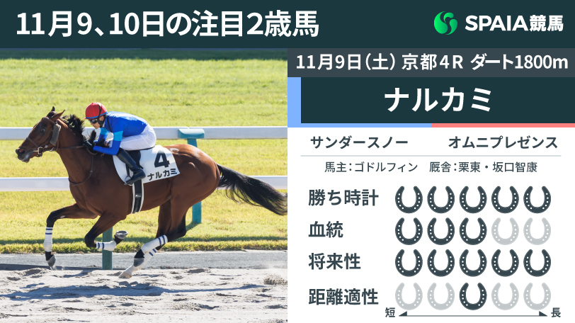 【注目2歳馬】新馬戦としては破格の1:51.2を記録　サンダースノー産駒ナルカミが大差勝ち