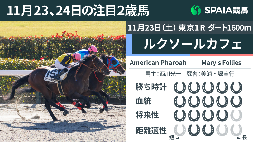 【注目2歳馬】カフェファラオの全弟ルクソールカフェが初勝利　勝ち時計1:35.8は2歳レコードを更新