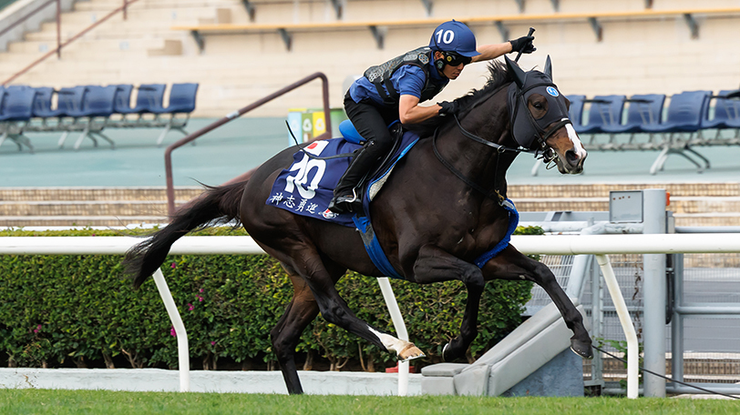 【香港国際競走】ソウルラッシュは芝コースで単走、動きの良さが目立つ　岩崎助手「去年より良い雰囲気だと思います」