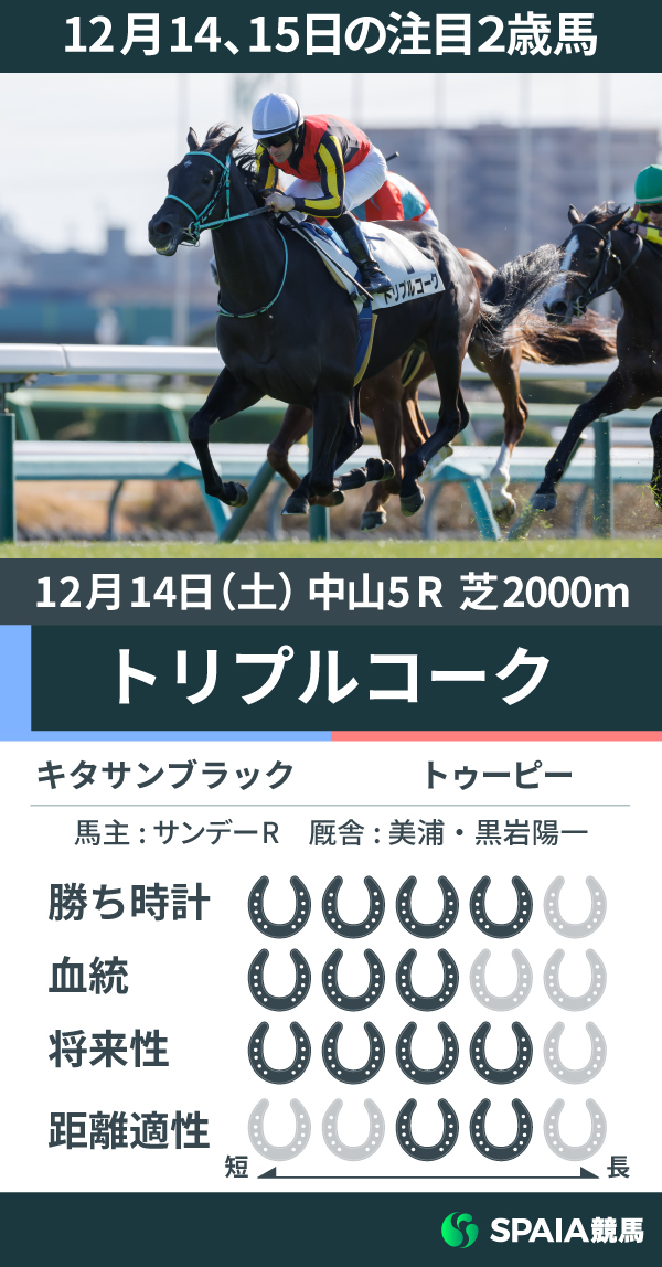 注目2歳馬トリプルコークの能力値,ⒸSPAIA（撮影：三木俊幸）