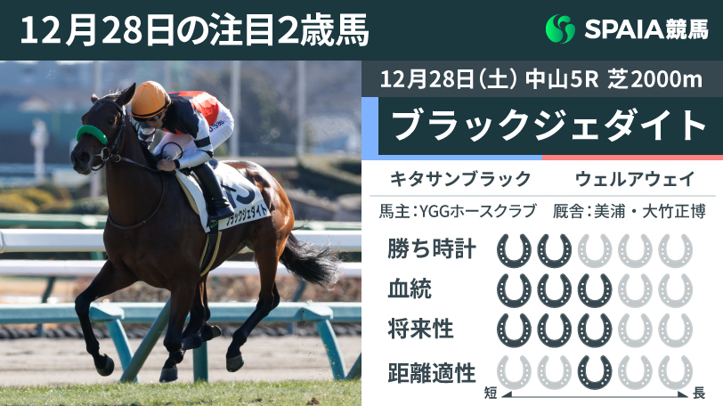 12月28日の中山5R新馬戦を制したブラックジェダイト,ⒸSPAIA（撮影：三木俊幸）