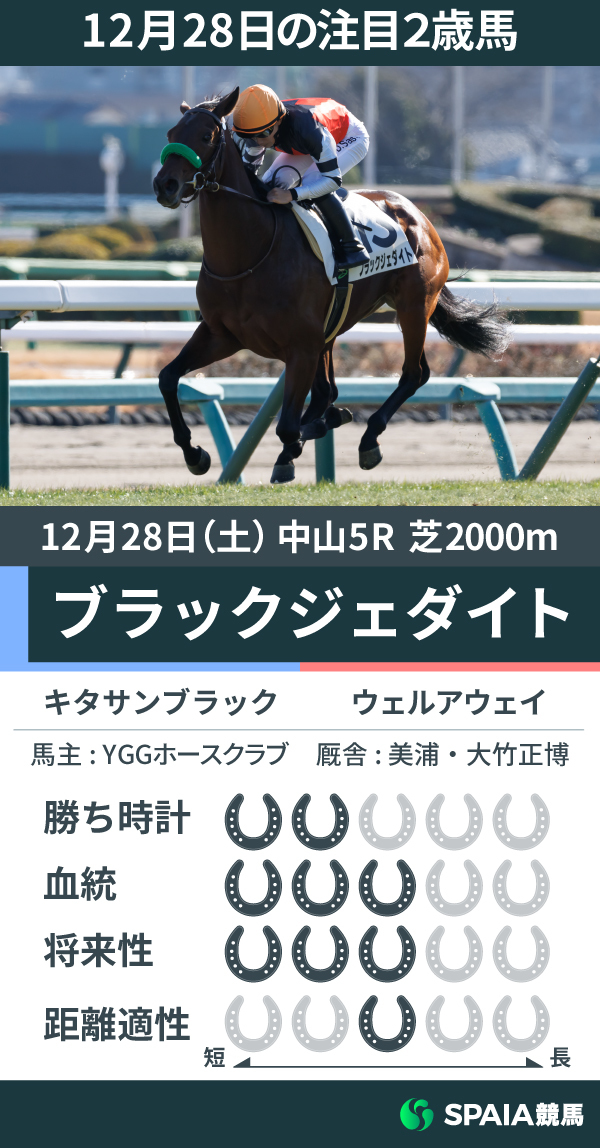 注目2歳馬ブラックジェダイトの能力値,ⒸSPAIA（撮影：三木俊幸）